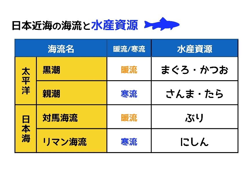 親潮と黒潮 混同しがちな日本近海の海流は名前の由来を調べて印象づける 中学受験ナビ