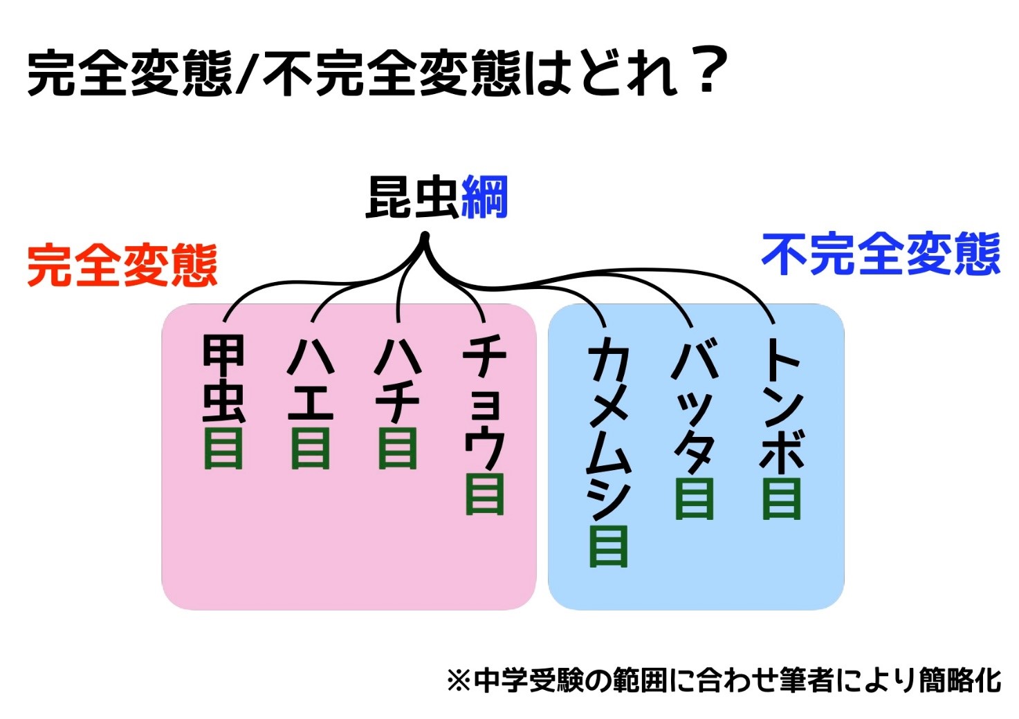 変態 仲間