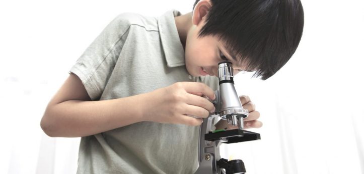 中学入試の理科では、実験器具の正しい使い方や手順の出題があります。特に顕微鏡は「各部分の名称」「使用手順」「対象物が見え…