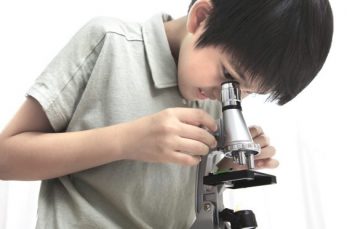 中学入試の理科では、実験器具の正しい使い方や手順の出題があります。特に顕微鏡は「各部分の名称」「使用手順」「対象物が見え…