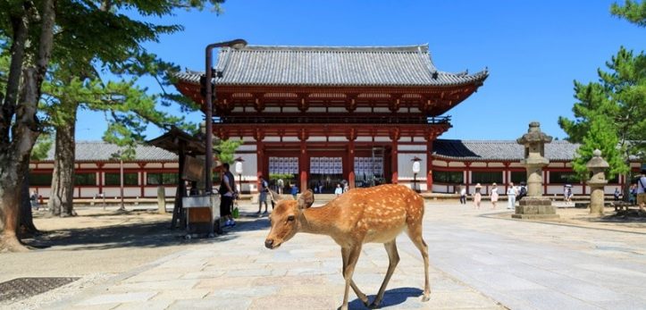 さかのぼること約1300年前、奈良県にはかつての都・平城京がありました。日本の中心地として栄えていた奈良県は、古い建造物…