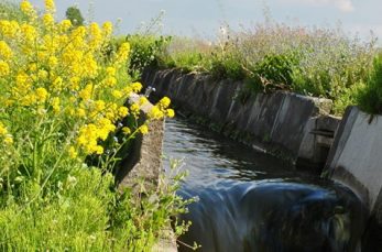 愛知用水とは、愛知県にある巨大な用水路のことです。用水路とは、乾燥した土地に水を運ぶために人間がつくった小さな川のような…