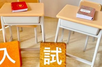 神奈川県が、令和6年度の神奈川県立中等教育学校の入学者の募集に係る合格者数集計結果について発表しました。 入学者の募集実…